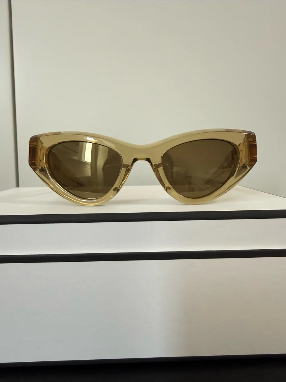 Bottega Veneta bold cat
